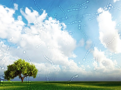 Awesome Image